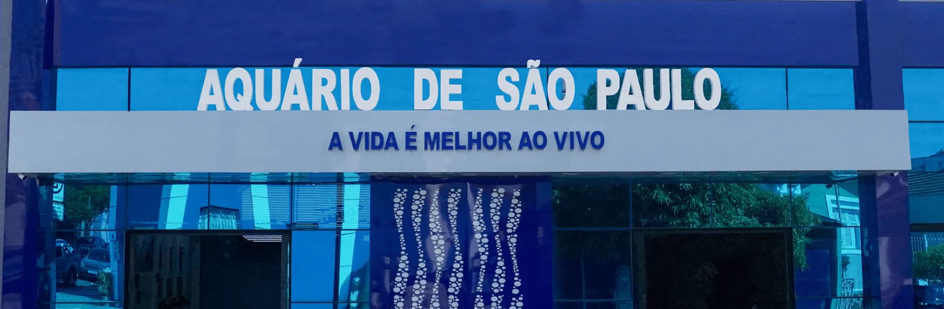 Aquário de São Paulo: Uma Jornada Inesquecível pelo Mundo Aquático